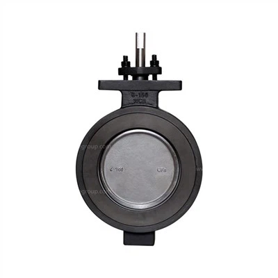 Carbon Steel High Performance Butterfly Valves